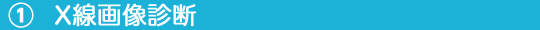 ①X線画像診断.png